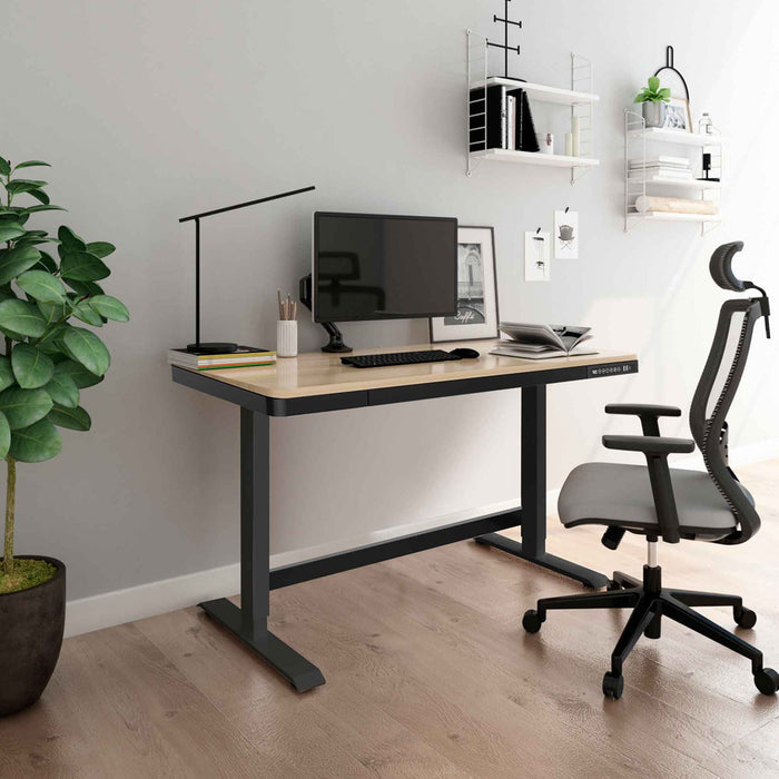 Single Motor Height Adjustable Sit & Stand Desk, Oak, 1200 x 600mm - DH65
