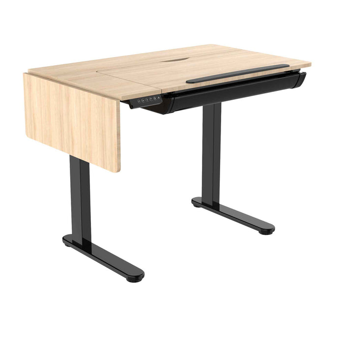 Electric Standing Drafting Desk, Drawing Sit/Stand Table with 0°-40° Tilt & Drawer - DH71