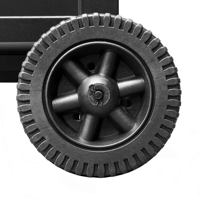 2 Burner Gas BBQ Grill With Piezo Ignition, Built-In Thermometer, Black/Stainless Steel - DG13