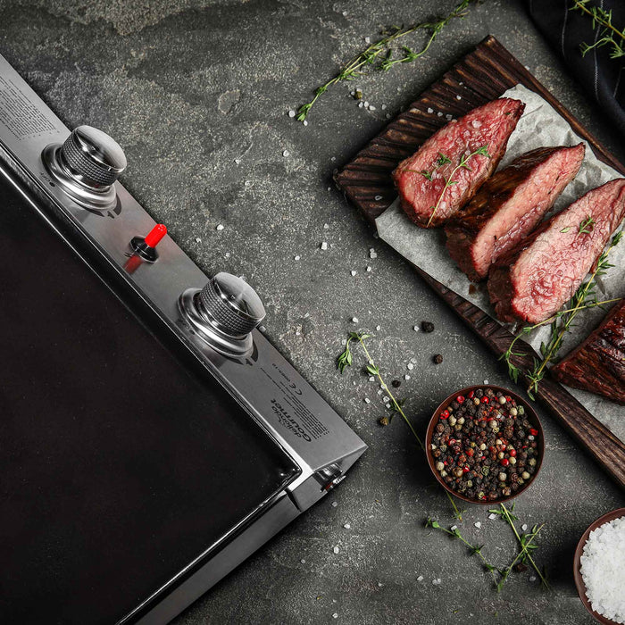 2 Burner Portable Gas Plancha 5kW BBQ Griddle, Includes PVC Cover, Stainless Steel - DG232